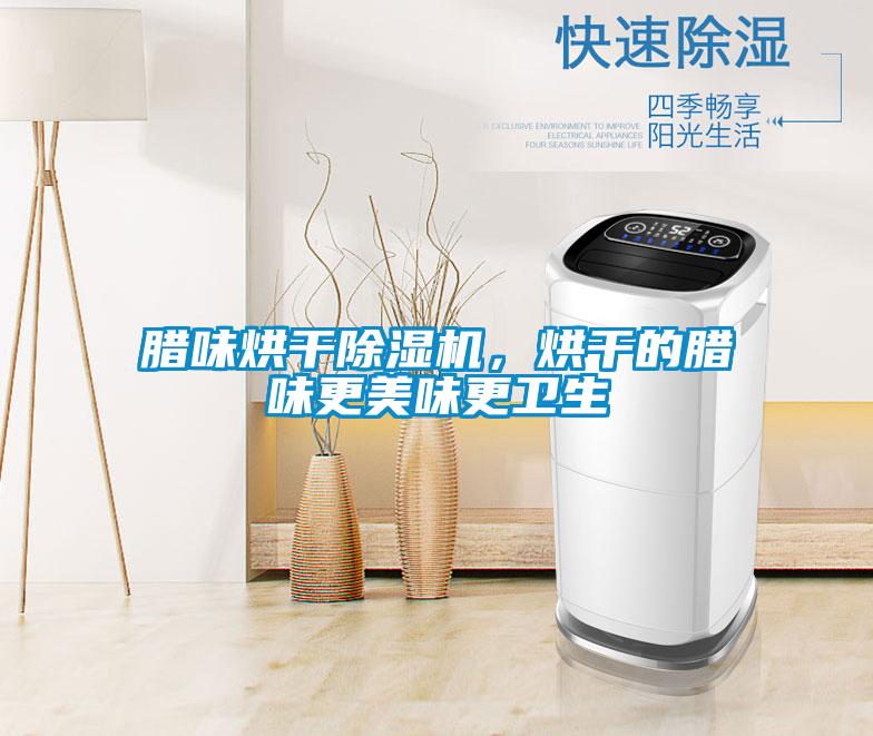 臘味烘干除濕機，烘干的臘味更美味更衛生