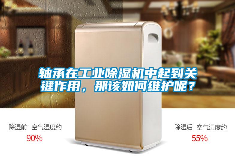 軸承在工業除濕機中起到關鍵作用，那該如何維護呢？