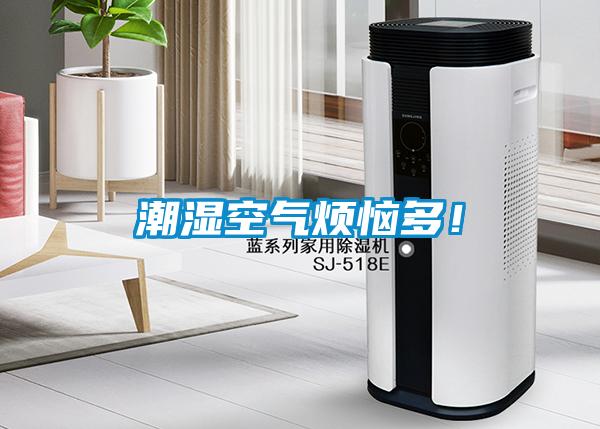 潮濕空氣煩惱多！