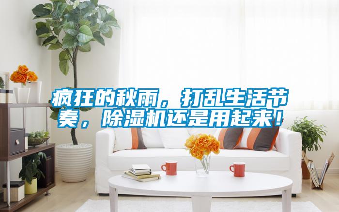 瘋狂的秋雨，打亂生活節奏，除濕機還是用起來！