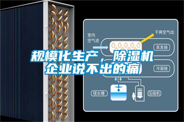 規(guī)模化生產(chǎn)，除濕機(jī)企業(yè)說不出的痛