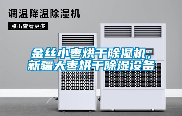 金絲小棗烘干除濕機(jī)，新疆大棗烘干除濕設(shè)備