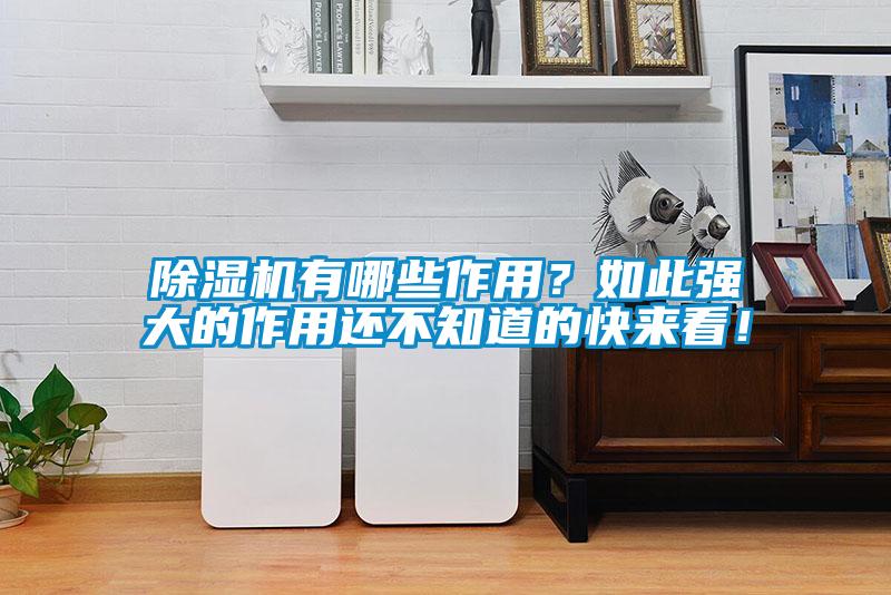 除濕機有哪些作用？如此強大的作用還不知道的快來看！