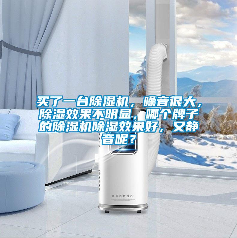 買了一臺除濕機，噪音很大，除濕效果不明顯，哪個牌子的除濕機除濕效果好，又靜音呢？