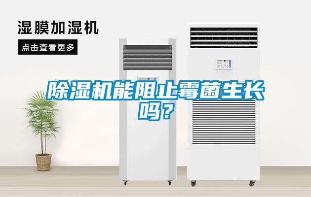 除濕機能阻止霉菌生長嗎？
