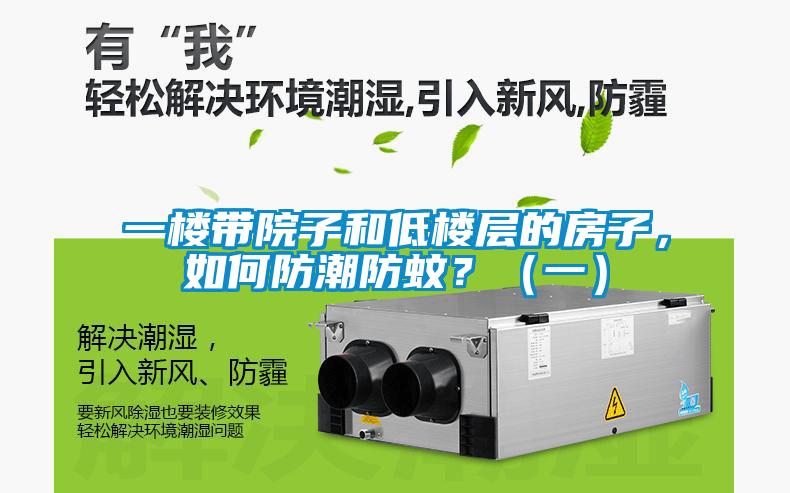 一樓帶院子和低樓層的房子，如何防潮防蚊？（一）