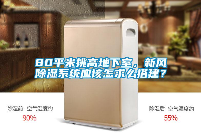 80平米挑高地下室，新風(fēng)除濕系統(tǒng)應(yīng)該怎求么搭建？