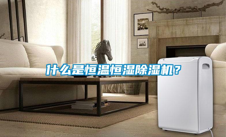 什么是恒溫恒濕除濕機?