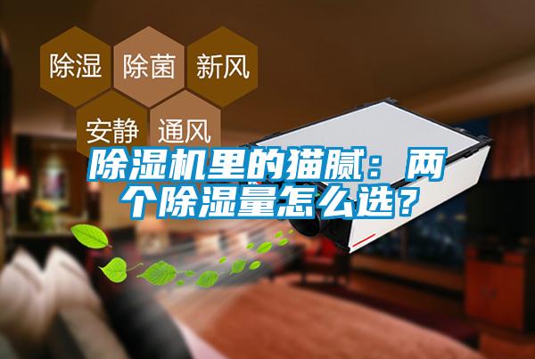 除濕機里的貓膩：兩個除濕量怎么選？