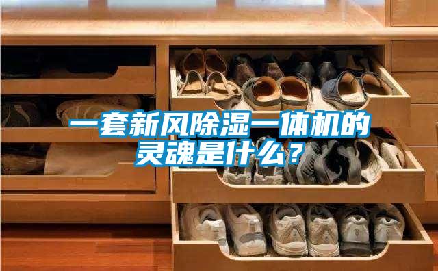 一套新風(fēng)除濕一體機的靈魂是什么？