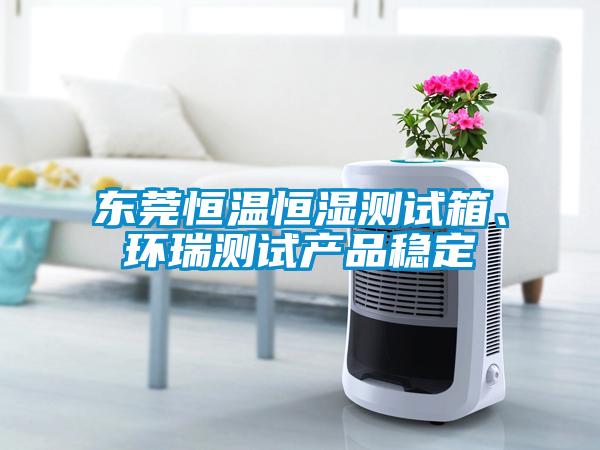 東莞恒溫恒濕測試箱、環(huán)瑞測試產品穩(wěn)定
