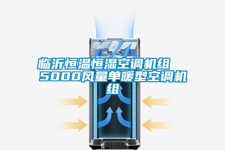 臨沂恒溫恒濕空調(diào)機組 5000風量單暖型空調(diào)機組