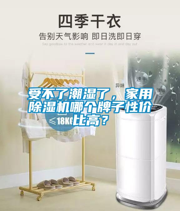受不了潮濕了，家用除濕機哪個牌子性價比高？