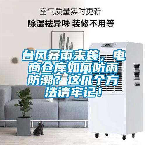 臺風(fēng)暴雨來襲，電商倉庫如何防雨防潮？這幾個方法請牢記！