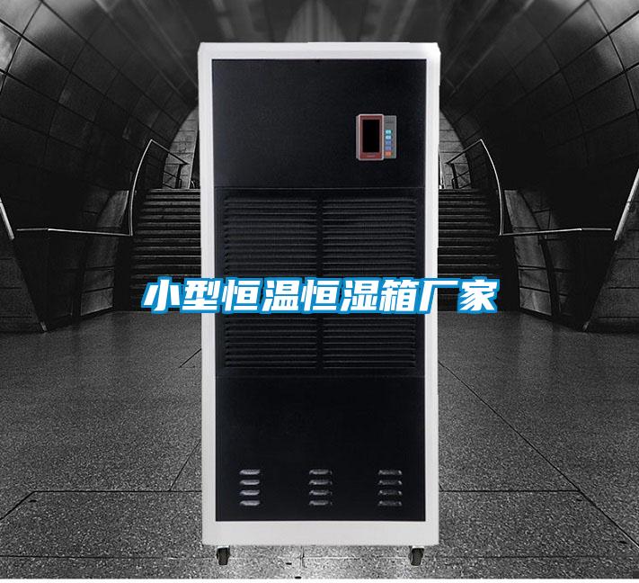 小型恒溫恒濕箱廠家