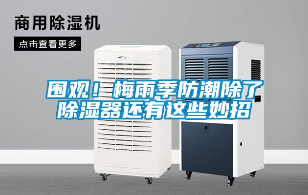 圍觀！梅雨季防潮除了除濕器還有這些妙招