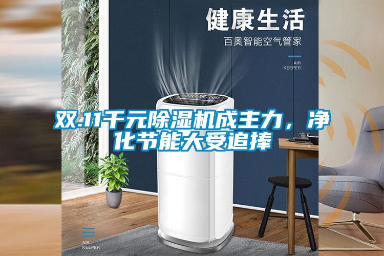 雙.11千元除濕機成主力，凈化節能大受追捧