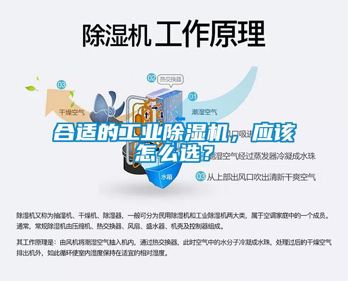 合適的工業除濕機，應該怎么選？