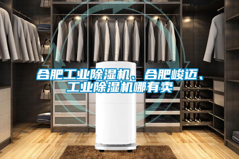 合肥工業(yè)除濕機(jī)、合肥峻邁、工業(yè)除濕機(jī)哪有賣