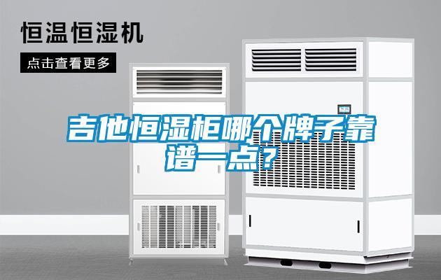 吉他恒濕柜哪個(gè)牌子靠譜一點(diǎn)？
