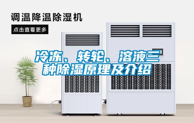 冷凍、轉(zhuǎn)輪、溶液三種除濕原理及介紹