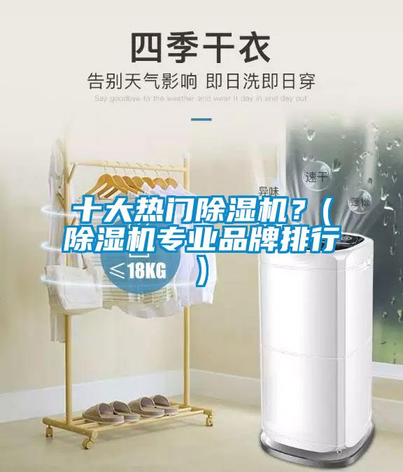 十大熱門除濕機？(除濕機專業品牌排行)