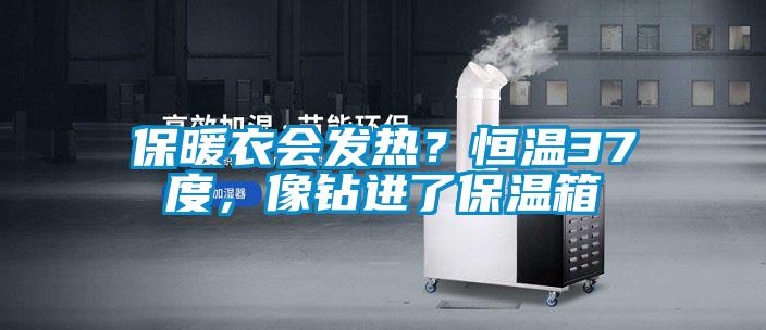 保暖衣會發熱？恒溫37度，像鉆進了保溫箱