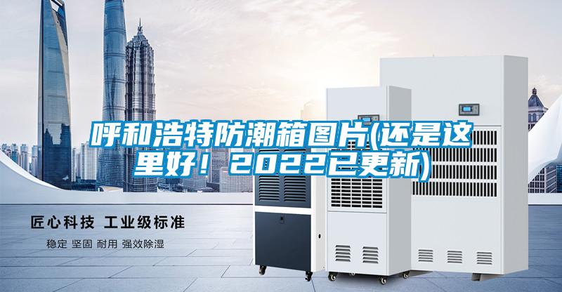 呼和浩特防潮箱圖片(還是這里好！2022已更新)