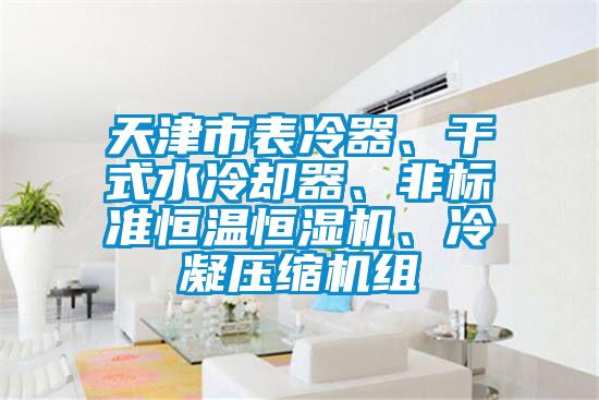 天津市表冷器、干式水冷卻器、非標(biāo)準(zhǔn)恒溫恒濕機(jī)、冷凝壓縮機(jī)組