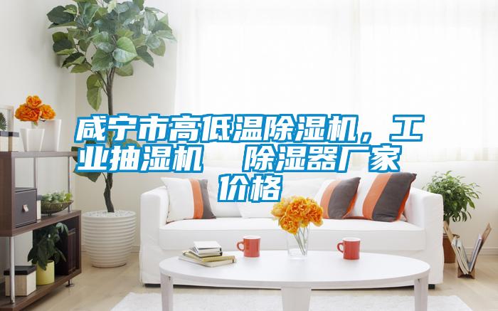 咸寧市高低溫除濕機(jī)，工業(yè)抽濕機(jī)  除濕器廠家 價格