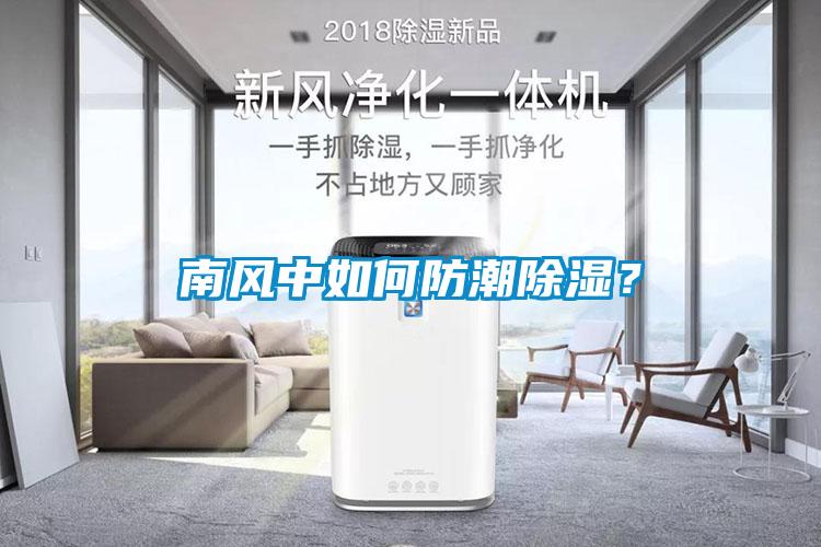 南風中如何防潮除濕？