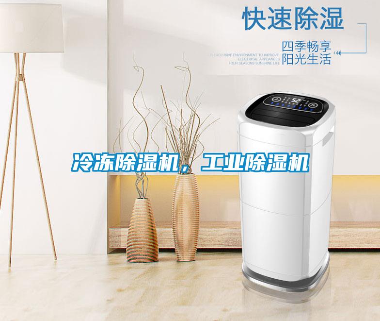 冷凍除濕機，工業除濕機