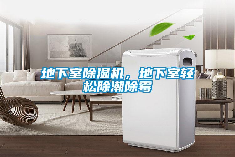 地下室除濕機，地下室輕松除潮除霉