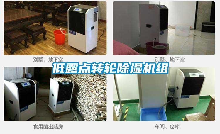 低露點轉(zhuǎn)輪除濕機(jī)組