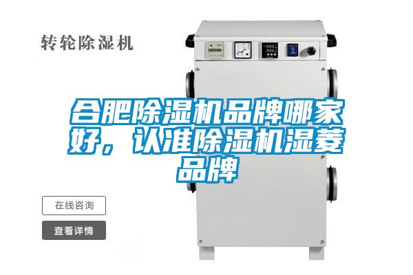 合肥除濕機品牌哪家好，認準除濕機濕菱品牌