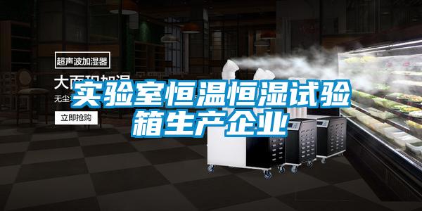 實驗室恒溫恒濕試驗箱生產(chǎn)企業(yè)