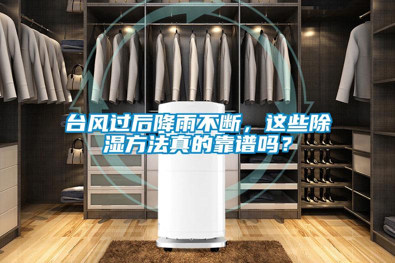 臺(tái)風(fēng)過后降雨不斷，這些除濕方法真的靠譜嗎？