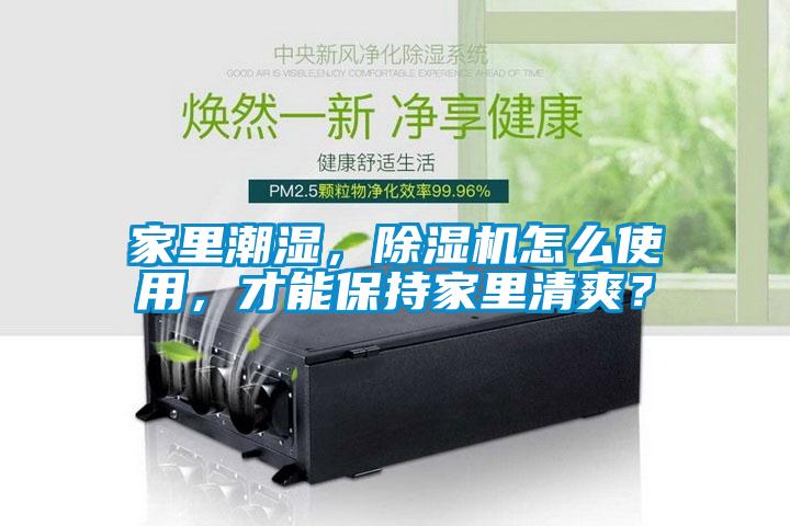 家里潮濕,除濕機怎么使用,才能保持家里清爽?