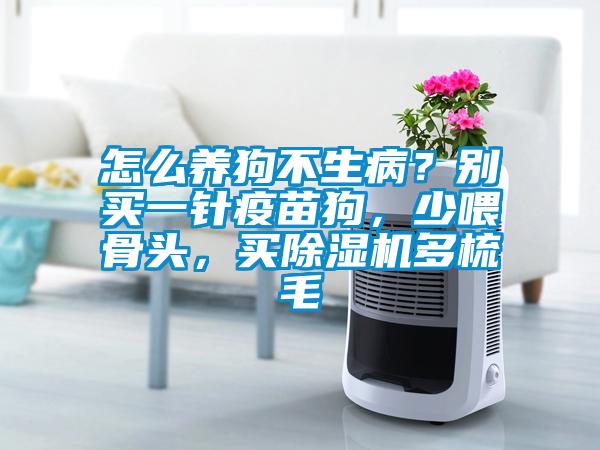 怎么養(yǎng)狗不生病？別買(mǎi)一針疫苗狗，少喂骨頭，買(mǎi)除濕機(jī)多梳毛