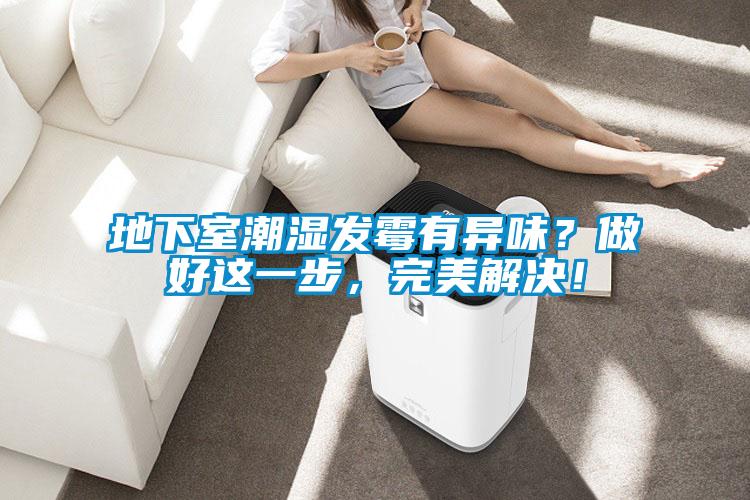 地下室潮濕發霉有異味？做好這一步，完美解決！