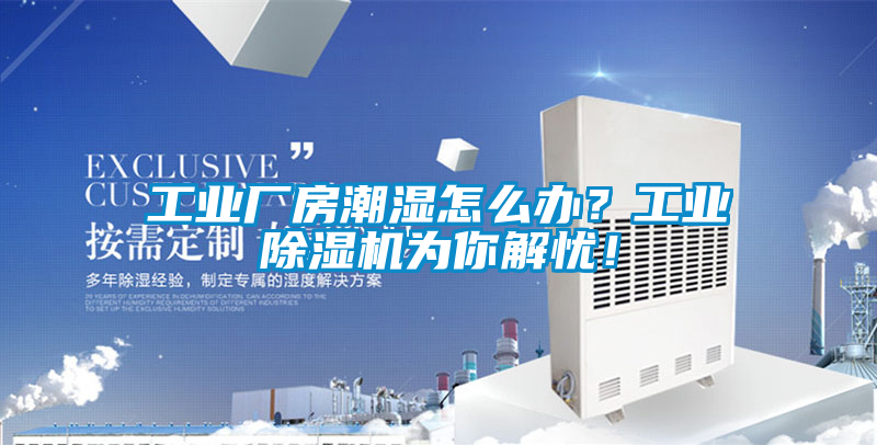 工業(yè)廠房潮濕怎么辦？工業(yè)除濕機為你解憂！