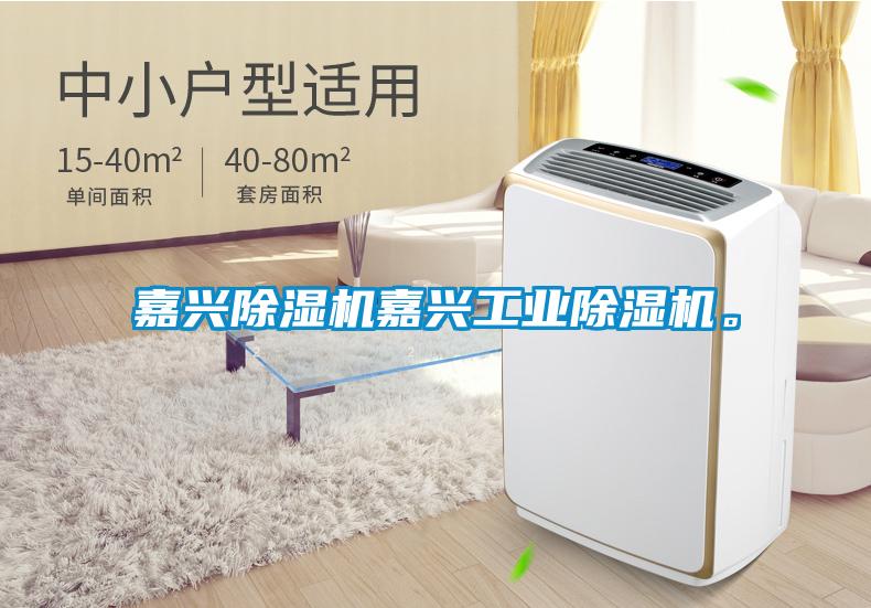 嘉興除濕機嘉興工業除濕機。