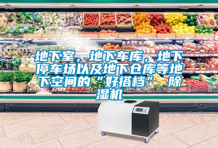 地下室，地下車庫，地下停車場以及地下倉庫等地下空間的“好搭檔” 除濕機