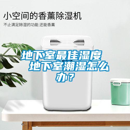 地下室最佳濕度  地下室潮濕怎么辦？
