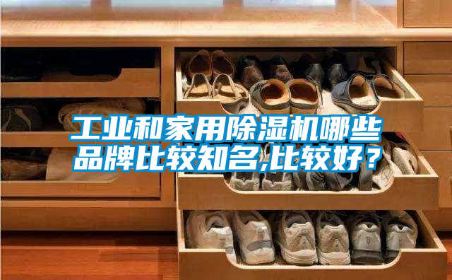 工業(yè)和家用除濕機(jī)哪些品牌比較知名,比較好？