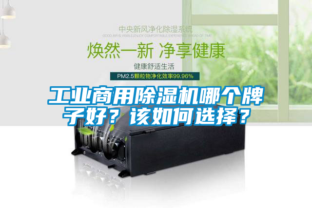 工業(yè)商用除濕機(jī)哪個牌子好？該如何選擇？
