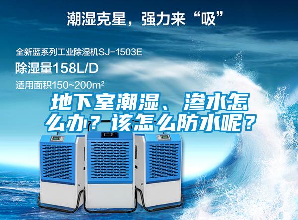 地下室潮濕、滲水怎么辦？該怎么防水呢？