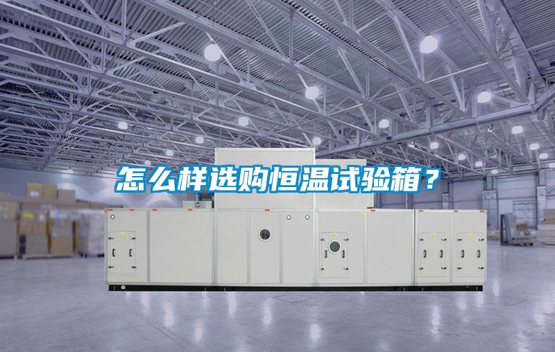 怎么樣選購恒溫試驗箱？