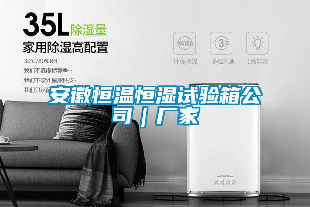 安徽恒溫恒濕試驗(yàn)箱公司｜廠(chǎng)家