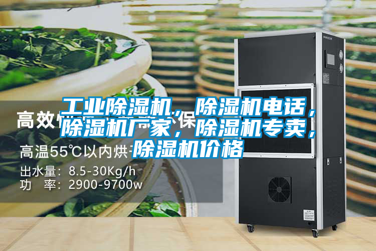 工業除濕機，除濕機電話，除濕機廠家，除濕機專賣，除濕機價格